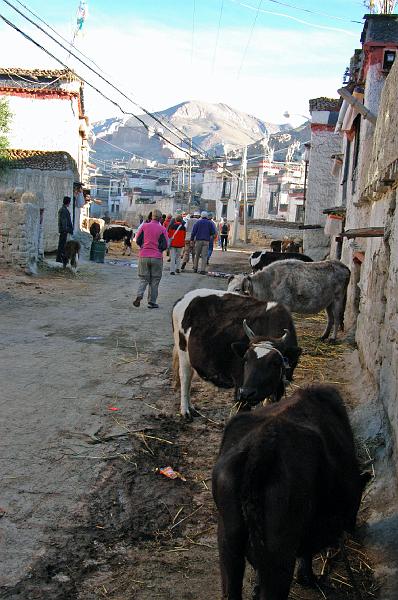 TIBET SEPT2008-471.JPG